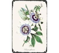 Plaque en métal vintage avec impression de passiflore bleue, art botanique, décoration murale d'intérieur, chambre, café, bar, salle de bain, cadeau amusant 20,3 x 30,5 cm