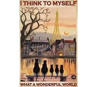 Plaque en métal vintage avec inscription « I Thought What a Wonderful World it was! » - Cadeau pour chambre à coucher, café, magasin, 30,5 x 40,6 cm