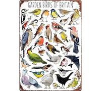 Plaque en métal vintage avec motif oiseaux de Grande-Bretagne Aquarelle
