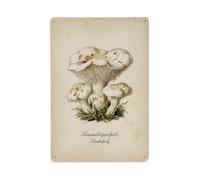 Plaque en métal vintage en forme de champignon hérisson blanc à dents pour | Décoration murale ronde en métal pour café, club, jardin 20,3 x 30,5 cm