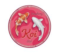 Plaque en métal vintage en forme de poisson Koi Fish Framboise Eaux rouges et baies vives pour café, club, bar, bureau, jardin - 20,3 x 20,3 cm