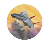 Plaque en métal vintage F-14D Avion de chasse Tomcat - Décoration murale pour café, club, bar, bureau, jardin - 20,3 x 20,3 cm