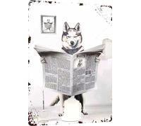 Plaque en métal vintage husky lecture journal humour animal fantaisie animal fantaisie pour la maison, salle de bain et toilettes, décoration murale 15,2 x 20,3 cm