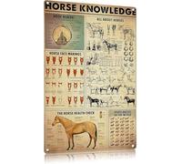 Plaque en métal vintage, infographie, science animale, affiche, connaissance du cheval, pour l'école, la cuisine, la maison, l'éducation des enfants, la ferme, le restaurant, 20 x 30 cm
