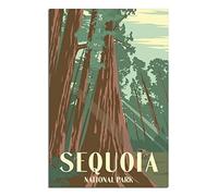 Plaque en métal vintage représentant le parc national de Sequoia, 30 x 40 cm, idéale pour une maison, une cave, une ferme, une chambre de fille, un mariage, la Saint-Valentin ou comme cadeau.