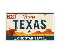 Plaque en tôle Texas Lone Star State 20 x 30 cm - Plaque rétro en métal style plaque d'immatriculation américaine avec corne, désert et rochers - Décoration murale vintage USA Western - LP0011