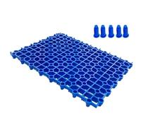 Plaque filtrante pour fond d'aquarium - Plaque de filtration de fond | Forte capacité de charge, petits fournitures pour animaux de compagnie pour tortues, petits reptiles, petits amphibiens