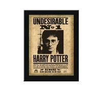 The Noble Collection - Plaque Undesirable n°1 Harry Potter NC G