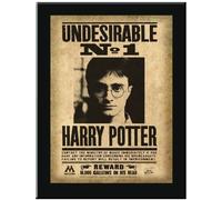 Plaque - Harry Potter - Undesirable N.1 Harry Potter