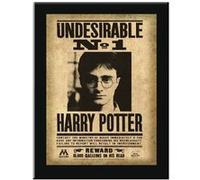 Plaque - Harry Potter - undesirable N°1 Harry Potter NC G