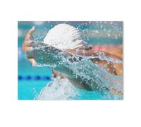 Plaque humoristique en métal，Concours de natation en nage dauphin (papillon)，Décoration murale d'intérieur pour cuisine, boulangerie, café, bar, ferme, restaurants, café(20x30cm）8x12 inch-AF10