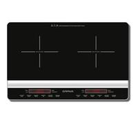 Plaque Induction G3 Ferrari G1013800 3100W 240V 60Hz Verre Trempé Noir Noir G