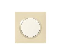 Plaque 1P dune Dooxie