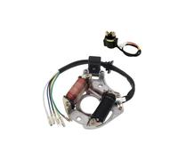 Plaque Magnétique D'allumage À 2 Bobines Pour Quad Chinois Sunl ATV 50cc 70cc 90cc 110cc Et 125cc Stator D'allumage