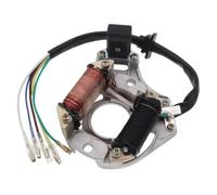 Plaque magnéto d'allumage à 2 bobines de stator AC compatible avec Sunl 50 cc 70 cc 90 cc 110 cc 125 cc ATV Quad