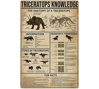 Plaque Métal Connaissances sur Me Triceratops Infographie sur Me Triceratops Encyclopédie des Dinosaures Plaques Métalliques Murale Panneaux pour Cour Bureau Chambre Cuisine S