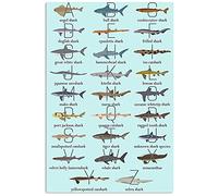 Plaque Métal Connaissances sur Mes Espèces De Requins Plaques Métalliques Drôles Panneau pour Salon Garage Café Exterieur S