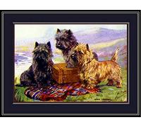 Plaque Metal English Picture Cairn Terrier Trio Chiot Chien Chiots Chiens Wall Sticker Décorative Rétro Poster Aluminium Unique Métal Mur Affiche pour Chambre Café Restaurant 20x30 cm