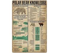 Plaque Métal Infographie Sur M'Ours Blanc : Encyclopédie Des Animaux Plaque En Tôle Fer Signalisation Pour Garage Cuisine Cour Décoratives M