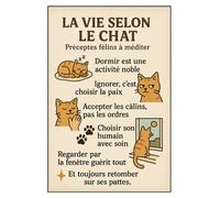 Plaque métal La vie selon le chat 30,5 x 20 cm