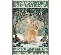 Plaque Metal Lapin, Il Y Avait Une Fille Qui Aimait Les Lapins. Métallique Panneau Vintage Métal Mur Affiche Drôle Métal Tôle Signe Pour Salon Club Bar Pub S