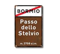 Plaque Métal Montées Cyclistes Alpines - Panneau Routier Vintage en Tôle 30x20 cm avec Cols Mythiques - Décoration Murale pour Cyclistes (Passo dello Stelvio)