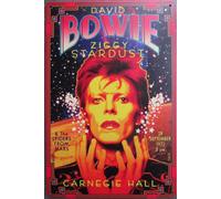 Plaque Métal Vintage David Bowie "Ziggy Stardust" - 30 X 20 Cm