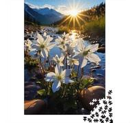 Plaque Métallique 52x38cm/1000pcs avec Alpine Flowers in The Sunlight pour Le Salon, Style Vintage pour L’intérieur, pour Les Pièces À Thème
