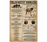 Plaque métallique « Amoureux des chiens » : Mastiff anglais, affiches de connaissances, école, éducation, maison, chambre, art mural, décoration, infographie scientifique, plaque 30,5 x 40,6 cm