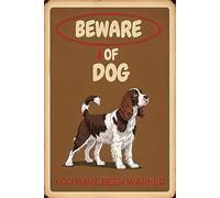 Plaque Métallique, Attention Au Cavalier King Charles Spaniel, Plaque Métal Robuste, Esthétique Signe De Métal Pour Hôtels Chambre Jardin, 20X30Cm