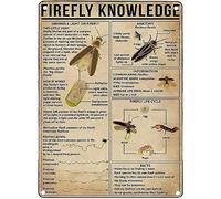 Plaque Métallique Connaissance des lucioles Affiche Étain Nouveauté Poster en Métal Mural Plaque pour Chambre Bar Jardin M