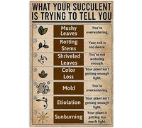 Plaque Métallique Connaissances sur Les Plantes : Ce Que Votre Succulente Essaie De Vous Dire Plaque Murales Drôles Panneaux pour Toilettes Exterieur Chambre Bureau S