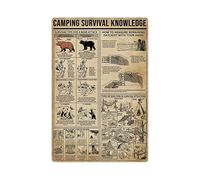 Plaque métallique décorative représentant un Chow Chow, infographie, affiche rétro, guide, encyclopédie canine, art, bureau, salle de classe, décoration murale, 20 x 30 cm