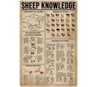 Plaque métallique en métal « Connaissances des moutons », encyclopédie des moutons, infographie, affiches, guide de ferme, plaque, art, bureau, salle de classe, éducation des enfants, décoration mu