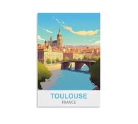 Plaque métallique humoristique vintage Toulouse, France, cadeau inspirant pour femmes et hommes, affiche rétro en métal, décoration murale, 20 x 30 cm