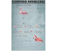 Plaque Métallique Infographie sur les connaissances des flamants roses : encyclopédie des animaux,Affiche Étain,Café,Chambre,Métal Mur Affiche,Clubs M