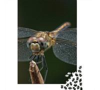 Plaque Métallique Rétro 38x26cm/1000pcs avec Dragonfly Close-Up on Twig pour L’Atelier, pour Le Bureau, Le Studio Et L’Atelier Créatif