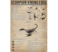 Plaque métallique Scorpion Knowledge, infographie de référence Scorpion, affiches vintage, plaque d'éducation de la petite enfance, étude à domicile, salle de classe, chambre à coucher, décoration mu