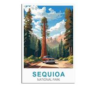 Plaque métallique style vintage représentant le parc national de Sequoia. Idéale pour un pub, un bar, un bureau, une salle de jeux, une chambre, une salle à manger ou une cuisine. Cadeau. 20 x 30 cm.