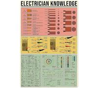 Plaque métallique vintage 8x12 pouces (20x30 cm) - Théorie de base de l'électricité et anatomie - Décoration murale -