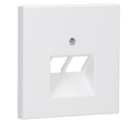 Plaque modulaire Jack 2 prises LS blanc mat (référence : JUNG LS969-2UAWWM)