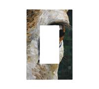 Plaque murale à bascule unique pour interrupteur en forme d'œil de renne - Décoration pour la maison, la cuisine, la salle de bain