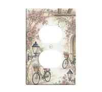Plaque murale de sortie duplex de vélo, lanterne rose rustique vintage en plastique vert de taille standard pour maison, salon, chambre à coucher, salle de bain