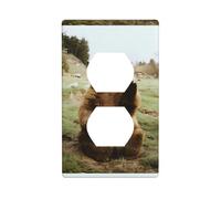 Plaque murale décorative Duplex avec inscription « Hi Bear » sur la pelouse - Décoration murale flexible pour salon, chambre à coucher, salle de bain