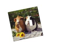 Plaque murale décorative - Plaque murale duplex à 2 bandes - Cochons d'Inde - Bords amusants - Couvercle de prise d'interrupteur - Plaque murale décorative - 12,7 x 7,6 cm - Thermoplastique - Taille