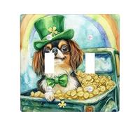 Plaque murale décorative pour interrupteur mural à 2 interrupteurs à double bascule, camion de ferme, chiot, plaque électrique arc-en-ciel pour chambre à coucher