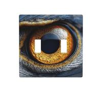 Plaque murale double avec motif œil d'aigle à tête blanche - 11,4 x 11,4 cm