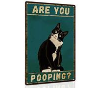 Plaque murale humoristique en métal pour salle de bain - 30 x 20 cm - Are You Pooping - Décoration d'intérieur vintage - Chat noir - 30 x 20 cm