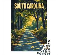 Plaque Murale Rétro 38x26cm/1000pcs avec South Carolina Road Through Trees pour Le Pub Ou Le Café, pour Un Mur Décoratif Pendant Les Mois D’Hiver