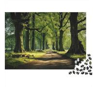 Plaque Murale Rétro 52x38cm/1000pcs avec Nature's Pathway Serenity in Every Step pour Le Coin Bar, Déco D’Automne pour Les Collectionneurs De Plaques Métal